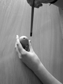 dokumentacja fotograficzna